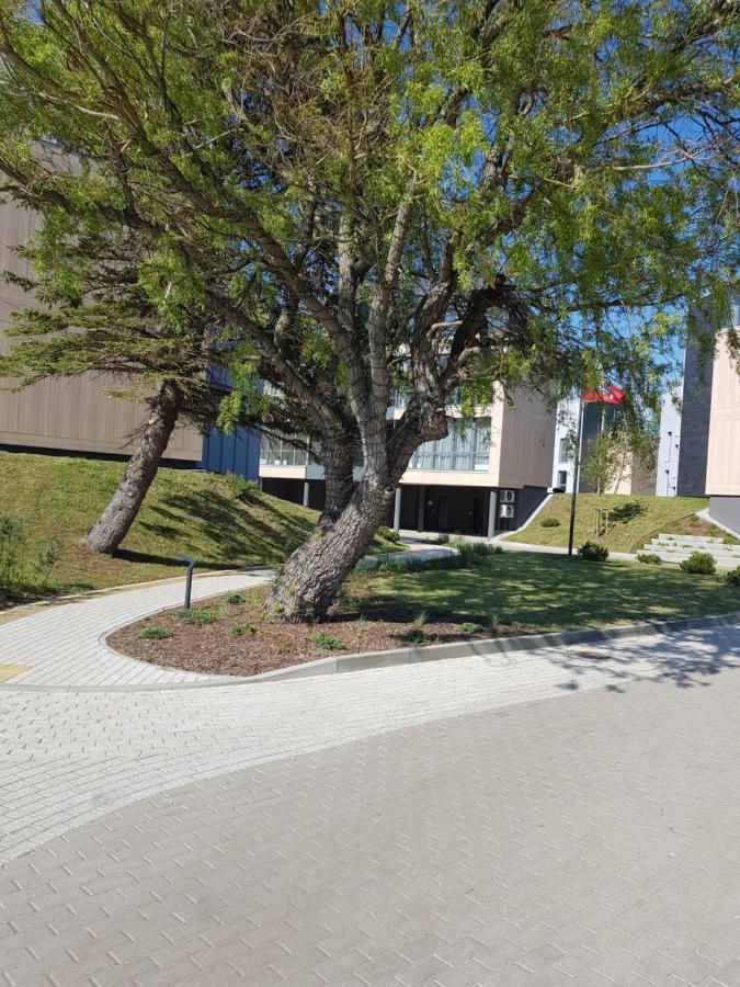 פלאנגה Apartamentai Su Vaizdu I Jura מראה חיצוני תמונה